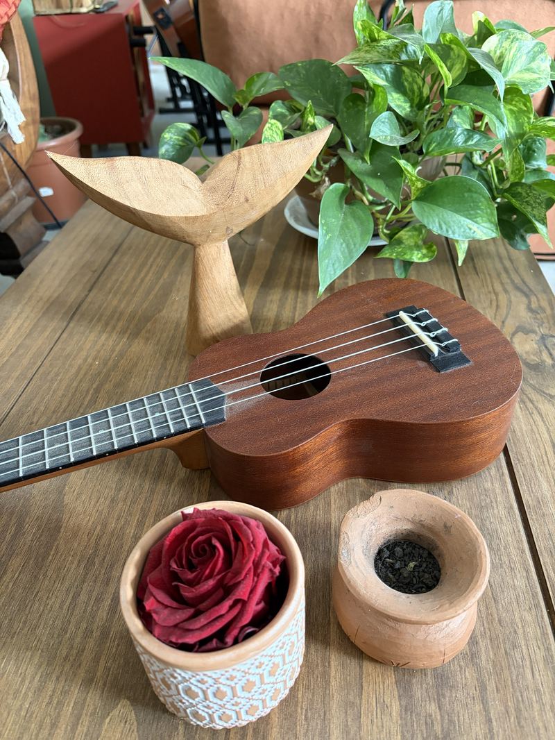 Ukulele sobre mesa de madeira, ao lado de uma rosa num vaso pequeno e de plantas.